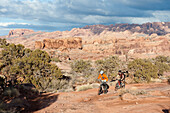 Two young men ride their bikes across the slickrock on the Amasa Back Trail in Moab, UT Moab, Utah, USA