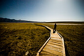 A young man stands on a long wooden pathway that leads to a hot spring Owens Valley, California, USA