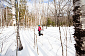 A woman snowshoes on a trail off the Kangamangus Highway near Conway, New Hampshire Conway, New Hampshire, United States of America