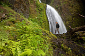 Multnomah Falls area, Columbia River Gorge, Oregon, near Portland, Oregon, USA