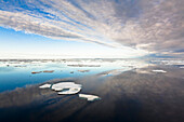 Pack ice in Barrow Strait, Qikiqtaaluk Region, Nunavut, Canada Nunavut, Canada
