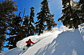 A male skier makes a big powder turn in the Kirkwood backcountry, CA Kirkwood, California, USA