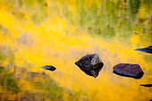 Rocks in pond with yellow reflections.  Aspen, Colorado Aspen, Colorado, United States