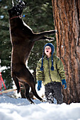 A boy watches a dog do a trick in amazement in Lake Tahoe, California Truckee, CA, USA