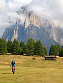 A mountain biker rides through a grassy mountain meadow at Seiser Alm, with a horse, a barn and rock cliffs in the background Val Gardena, Dolomites, Italy