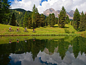 Four mountain bikers are riding a grassy slope along a mountain lake with rock cliffs in the background Val Gardena, Dolomites, Italy