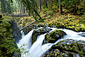 Waterfall on a small river Port Angeles, Washington, USA