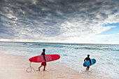 2 longboard surfers entering the water in Hawaii north shore of Oahu, Hawaii, USA