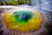 The Morning Glory Pool in Yellowstone National Park, Wyoming Yellowstone National Park, Wyoming, USA