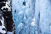 A athletic man ice climbing in Colorado., Ouray, Colorado, USA