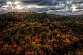 Colorful trees in a gorge with clouds in the sky., Daniel Boone National Forest, KY, United States