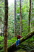 A man sits on a log in the thick green forest of the Olympic National Park., Washington, USA