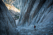 Rock Climbing Lifestyle Sierras California, California, USA