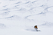 One man skiing a new line between other skiers' tracks., South Lake Tahoe, California, USA