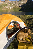 Mother, child and dog at a tent Silverton, Colorado, United States