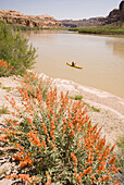 sea kayaking on the Colorado River, Moab, Utah, United States