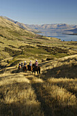 Horseback riding in New Zealand, South Island, New Zealand