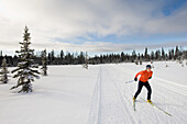 A young woman cross-country skiing Homer, Alaska, USA