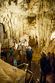 Tropfsteinhöhle, Grotte di Toirano, Toirano, Provinz Savona, Ligurien, Italien