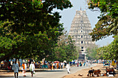Virupaksha Temple, Hampi Bazar, Hampi, Karnataka, India