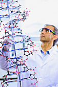 Indian male scientist holding DNA model, Bothell, WA