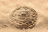 Aztec calendar stone carving on sand, Miami Beach, FL, United States
