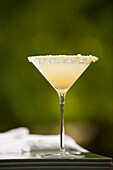 Lemon vodka martini, Richmond, Virginia, United States