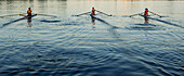 People rowing sculling boats on river, Seattle, wa, usa