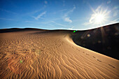 Sand dune in Death Valley, Death Valley, CA, USA