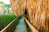 Wooden walkway through tropical area, Palm Springs, California, United States