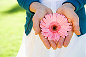 Close up of woman holding blooming flower, Los Angeles, CA, USA