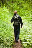 Caucasian man hiking in woods, Neuchatel, Neuchatel, Switzerland