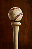 Baseball balancing on baseball bat, Halifax, Nova Scotia, Canada