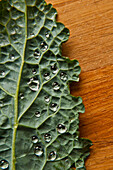 Water droplets on kale leaf, SAN FRANCISCO, California, USA