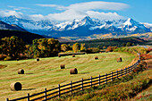 Hay bales in rural field, Telluride, Colorado, USA