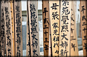Japanese prayer sticks in cemetery, Tokyo, Japan, Tokyo, Japan