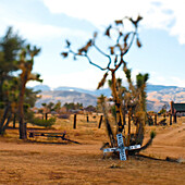 Old Railroad Crossing Sign in Desert, Pioneertown, California, USA