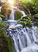 View of waterfall in forest, plitvice, Croazia, Croazia