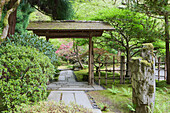 Gazebo in Japanese Garden, Portland, Oregon, United States, Portland, Oregon, USA