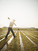 Caucasian farmer walking in crop field, Saint George, Utah, USA
