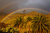 rainbow, above palm trees, Valley of El Risco, near Agaete, Natural Preserve, Parque Natural de Tamadaba, UNESCO Biosphere Reserve, West coast, Gran Canaria, Canary Islands, Spain, Europe