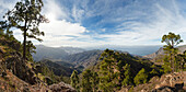 View from Altavista mountain, canarian pine trees, San Nicolas de Tolentino and valley of El Risco, Natural Preserve, Parque Natural de Tamadaba, UNESCO Biosphere Reserve, West coast, Gran Canaria, Canary Islands, Spain, Europe