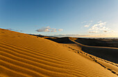 Dunes of Maspalomas, Dunas de Maspalomas, natural reserve, Maspalomas, municipality of San Bartolome de Tirajana, Gran Canaria, Canary Islands, Spain, Europe