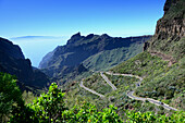 Blick auf die Masca-Schlucht, Teno-Gebirge, Teneriffa, Kanarische Inseln, Spanien