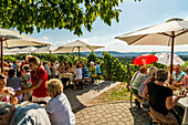Guests in a Besenwirtschaft (wine tavern) between vineyards, Stuttgart, Baden-Wurttemberg, Germany