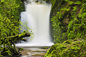 Stream and Geroldsauer waterfall, Grobbach, Geroldsau, Black Forest, Baden-Baden, Baden-Wuerttemberg, Germany