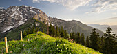 Hoher Göll vom Ahornbüchsenkogel, Grenzzaun zwischen Salzburg und Bayern, Berchtesgadener Land, Bayern, Deutschland, Österreich