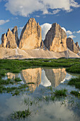 Tre Cime Di Lavaredo with reflection in a puddle, South Tyrol, Dolomites, Italy