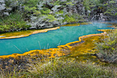 heiße Quellen, Waimangu Volcanic Valley, Rotorua, Bay of Plenty, Nordinsel, Neuseeland