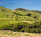 Wharariki, Tasman, South Island, New Zealand